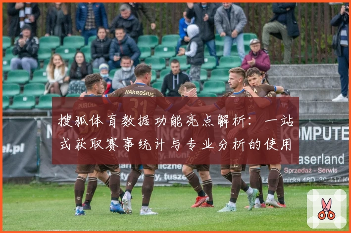 搜狐体育数据功能亮点解析：一站式获取赛事统计与专业分析的使用体验指南