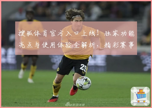 搜狐体育官方入口上线！独家功能亮点与使用体验全解析，精彩赛事一触即达