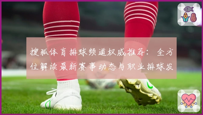 搜狐体育排球频道权威推荐：全方位解读最新赛事动态与职业排球发展趋势