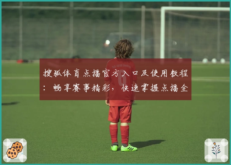 搜狐体育点播官方入口及使用教程:畅享赛事精彩,快速掌握点播全流程